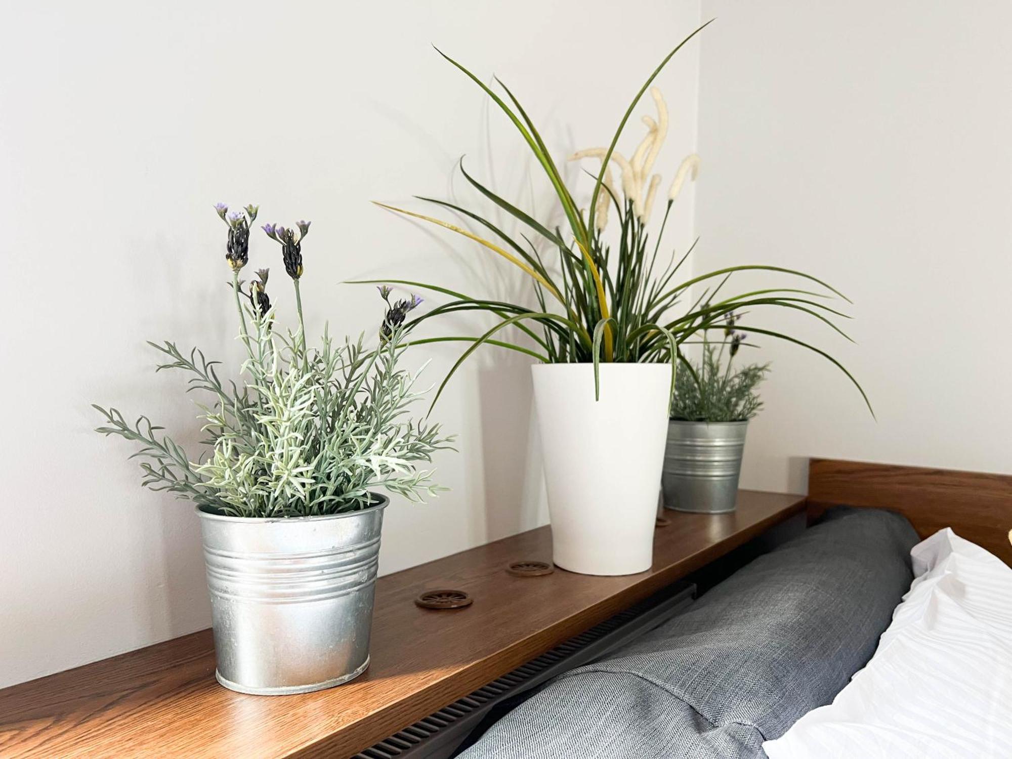 3D Szlak 77 Apartament Kraków Eksteriør billede